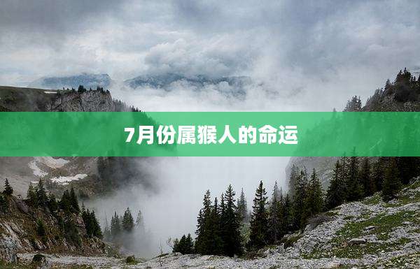 7月份属猴人的命运