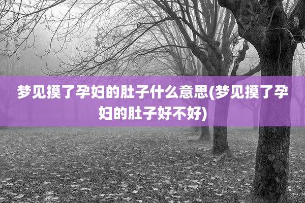 梦见摸了孕妇的肚子什么意思(梦见摸了孕妇的肚子好不好)