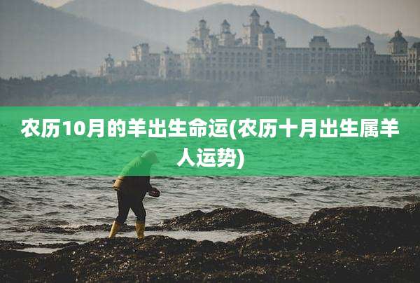 农历10月的羊出生命运(农历十月出生属羊人运势)