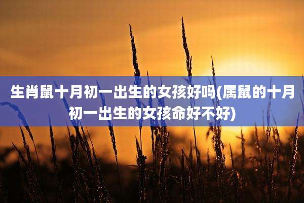 生肖鼠十月初一出生的女孩好吗(属鼠的十月初一出生的女孩命好不好)