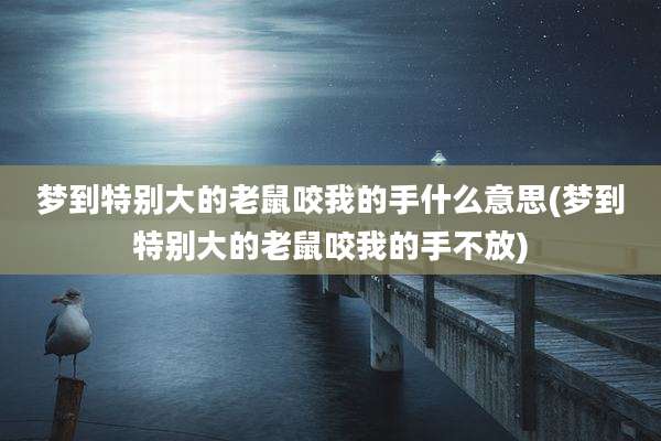 梦到特别大的老鼠咬我的手什么意思(梦到特别大的老鼠咬我的手不放)