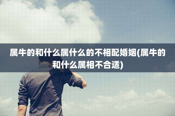 属牛的和什么属什么的不相配婚姻(属牛的和什么属相不合适)
