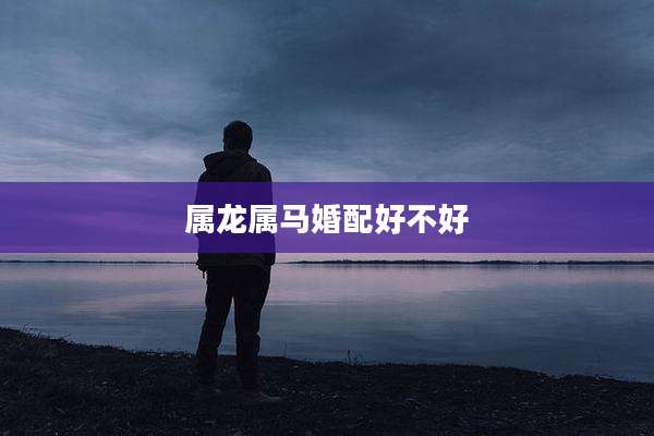 属龙属马婚配好不好