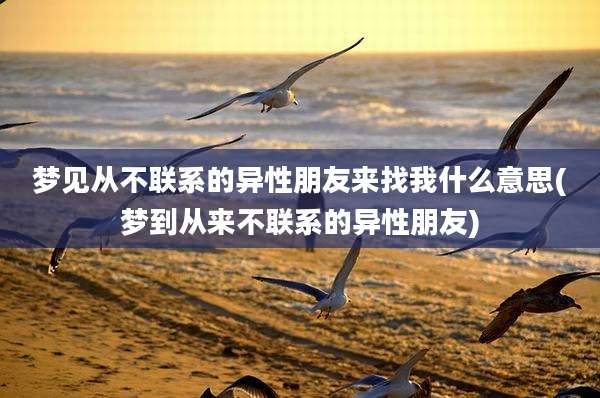 梦见从不联系的异性朋友来找我什么意思(梦到从来不联系的异性朋友)