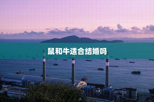 鼠和牛适合结婚吗