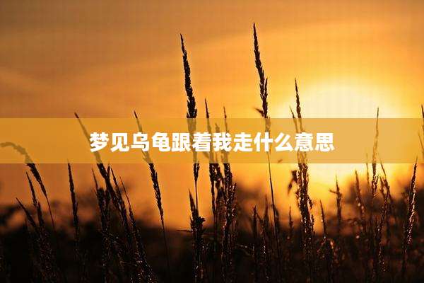 梦见乌龟跟着我走什么意思