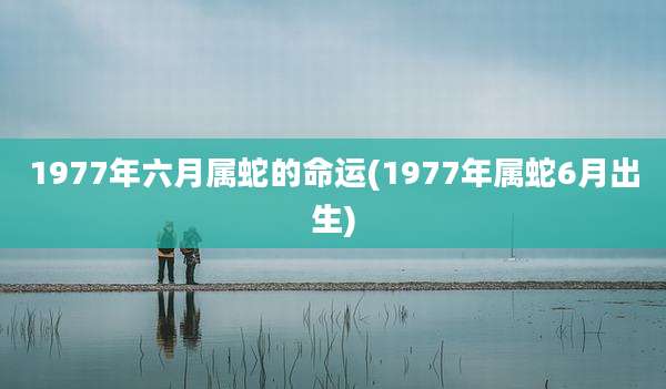 1977年六月属蛇的命运(1977年属蛇6月出生)