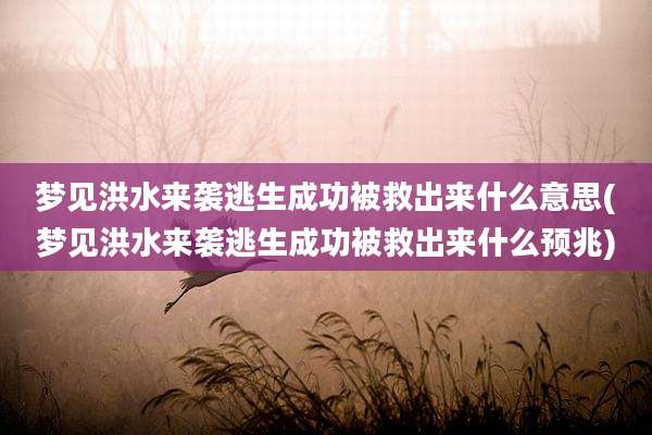 梦见洪水来袭逃生成功被救出来什么意思(梦见洪水来袭逃生成功被救出来什么预兆)