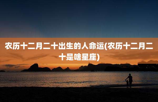 农历十二月二十出生的人命运(农历十二月二十是啥星座)