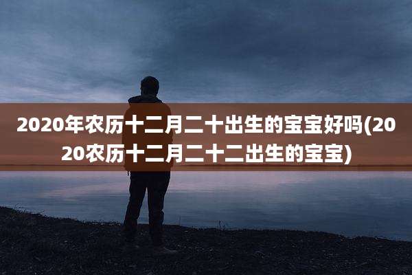 2020年农历十二月二十出生的宝宝好吗(2020农历十二月二十二出生的宝宝)