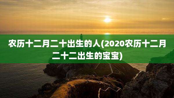 农历十二月二十出生的人(2020农历十二月二十二出生的宝宝)