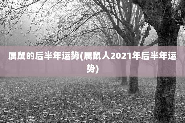 属鼠的后半年运势(属鼠人2021年后半年运势)