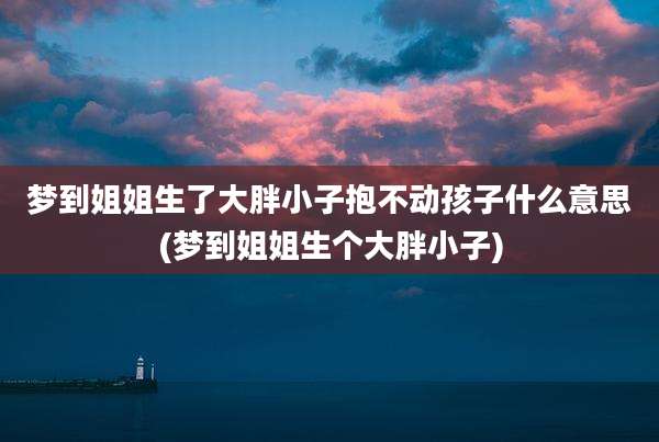 梦到姐姐生了大胖小子抱不动孩子什么意思(梦到姐姐生个大胖小子)