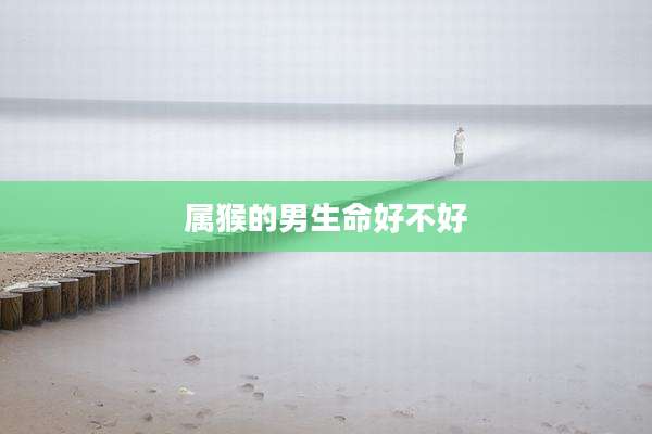 属猴的男生命好不好