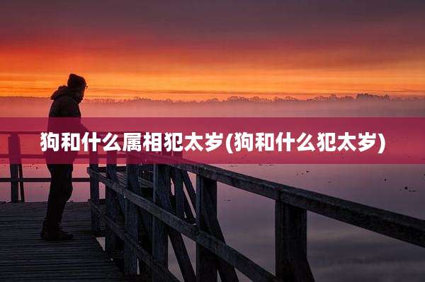 狗和什么属相犯太岁(狗和什么犯太岁)