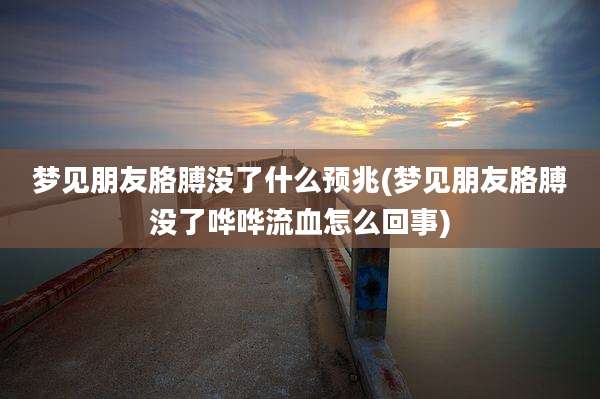 梦见朋友胳膊没了什么预兆(梦见朋友胳膊没了哗哗流血怎么回事)