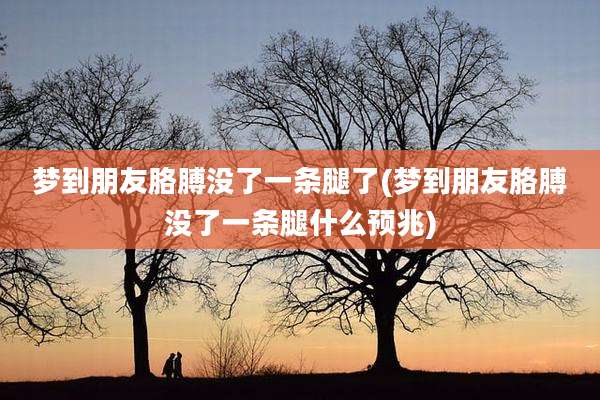 梦到朋友胳膊没了一条腿了(梦到朋友胳膊没了一条腿什么预兆)