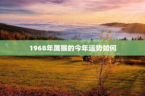 1968年属猴的今年运势如何