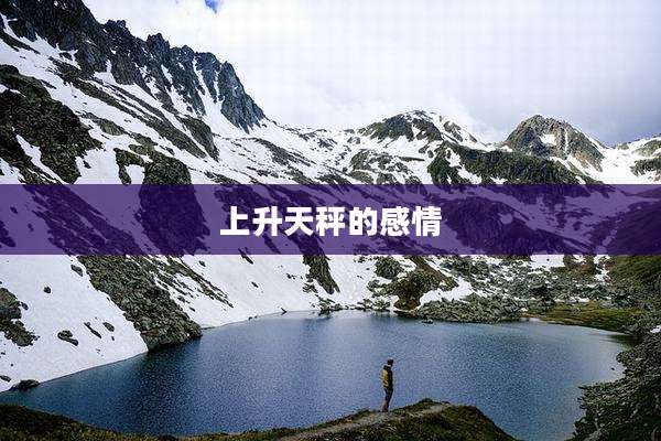 上升天秤的感情