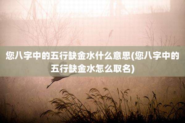 您八字中的五行缺金水什么意思(您八字中的五行缺金水怎么取名)