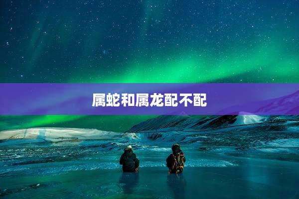 属蛇和属龙配不配