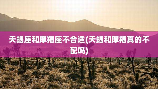 天蝎座和摩羯座不合适(天蝎和摩羯真的不配吗)