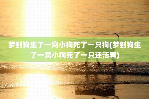 梦到狗生了一窝小狗死了一只狗(梦到狗生了一窝小狗死了一只还活着)