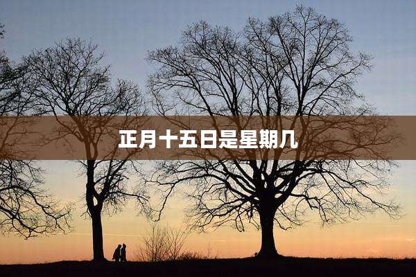正月十五日是星期几