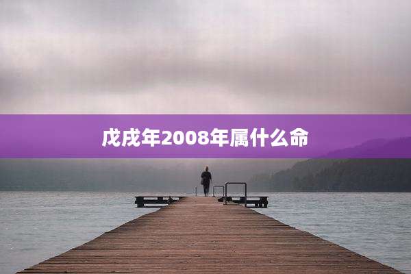 戊戌年2008年属什么命