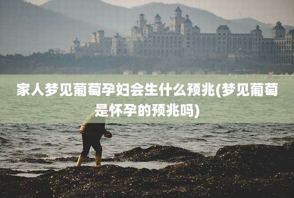 家人梦见葡萄孕妇会生什么预兆(梦见葡萄是怀孕的预兆吗)