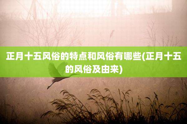 正月十五风俗的特点和风俗有哪些(正月十五的风俗及由来)