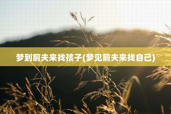梦到前夫来找孩子(梦见前夫来找自己)