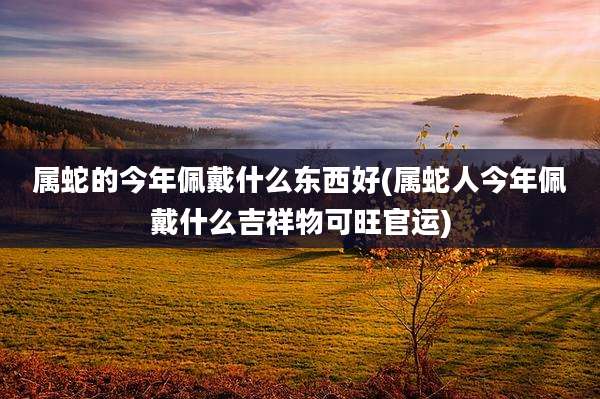 属蛇的今年佩戴什么东西好(属蛇人今年佩戴什么吉祥物可旺官运)