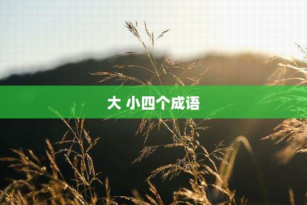 大 小四个成语