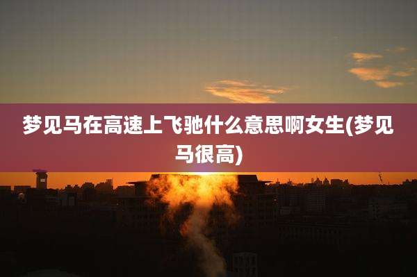 梦见马在高速上飞驰什么意思啊女生(梦见马很高)