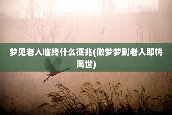 梦见老人临终什么征兆(做梦梦到老人即将离世)