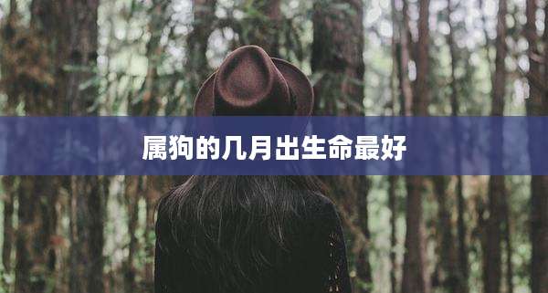 属狗的几月出生命最好