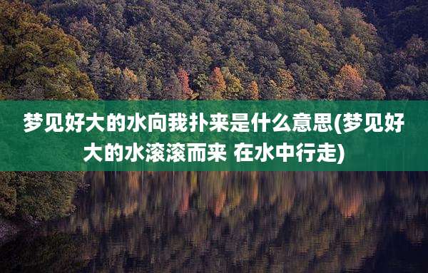 梦见好大的水向我扑来是什么意思(梦见好大的水滚滚而来 在水中行走)