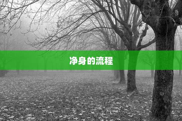 净身的流程