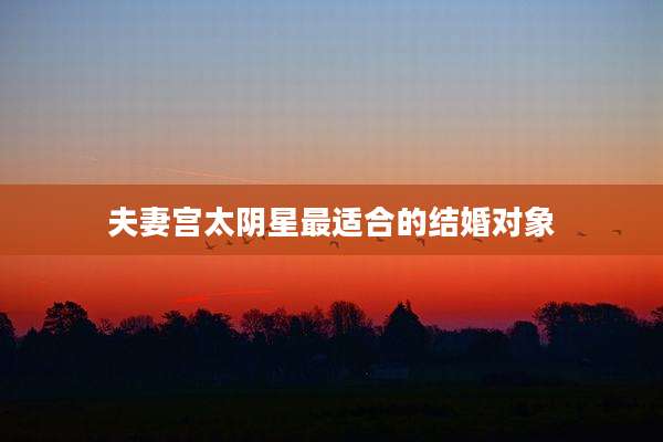 夫妻宫太阴星最适合的结婚对象