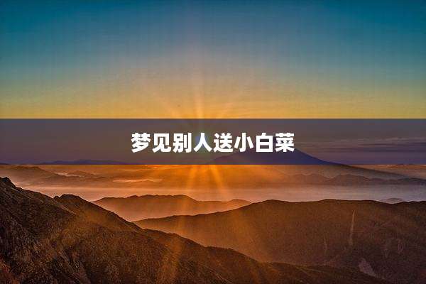 梦见别人送小白菜
