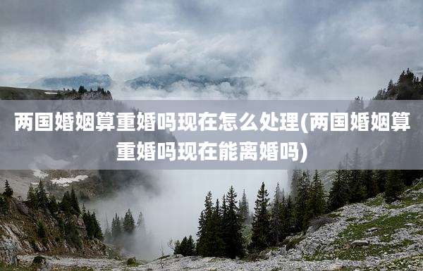 两国婚姻算重婚吗现在怎么处理(两国婚姻算重婚吗现在能离婚吗)