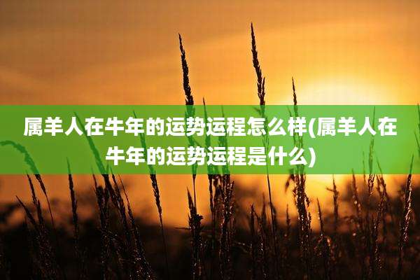 属羊人在牛年的运势运程怎么样(属羊人在牛年的运势运程是什么)