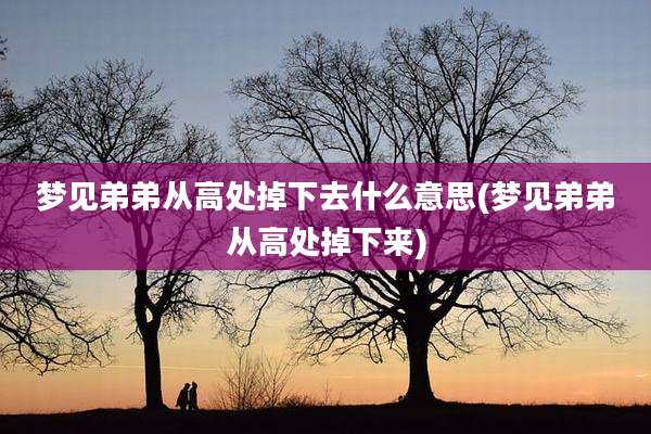 梦见弟弟从高处掉下去什么意思(梦见弟弟从高处掉下来)