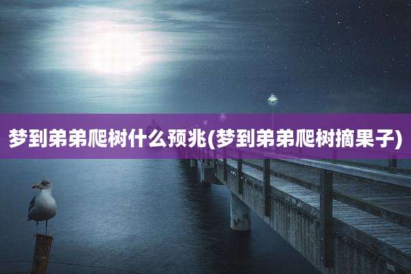 梦到弟弟爬树什么预兆(梦到弟弟爬树摘果子)