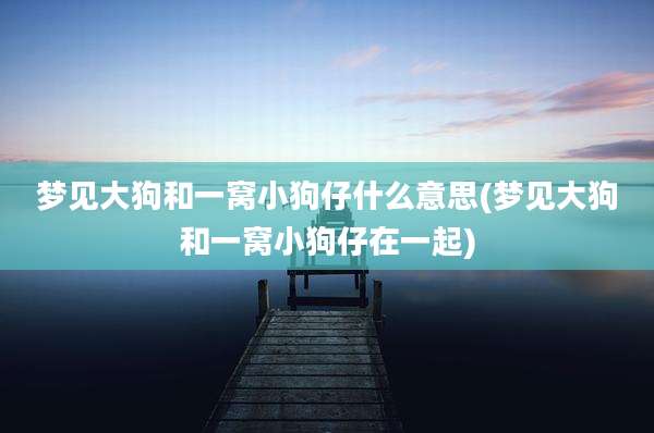 梦见大狗和一窝小狗仔什么意思(梦见大狗和一窝小狗仔在一起)