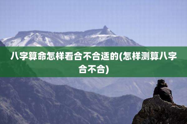 八字算命怎样看合不合适的(怎样测算八字合不合)
