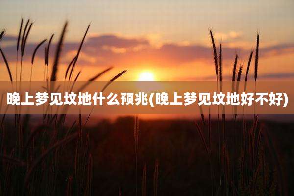 晚上梦见坟地什么预兆(晚上梦见坟地好不好)