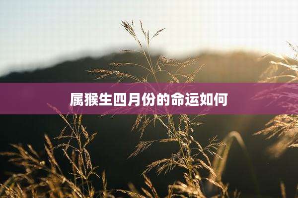 属猴生四月份的命运如何