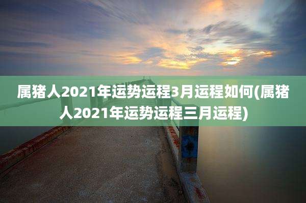 属猪人2021年运势运程3月运程如何(属猪人2021年运势运程三月运程)